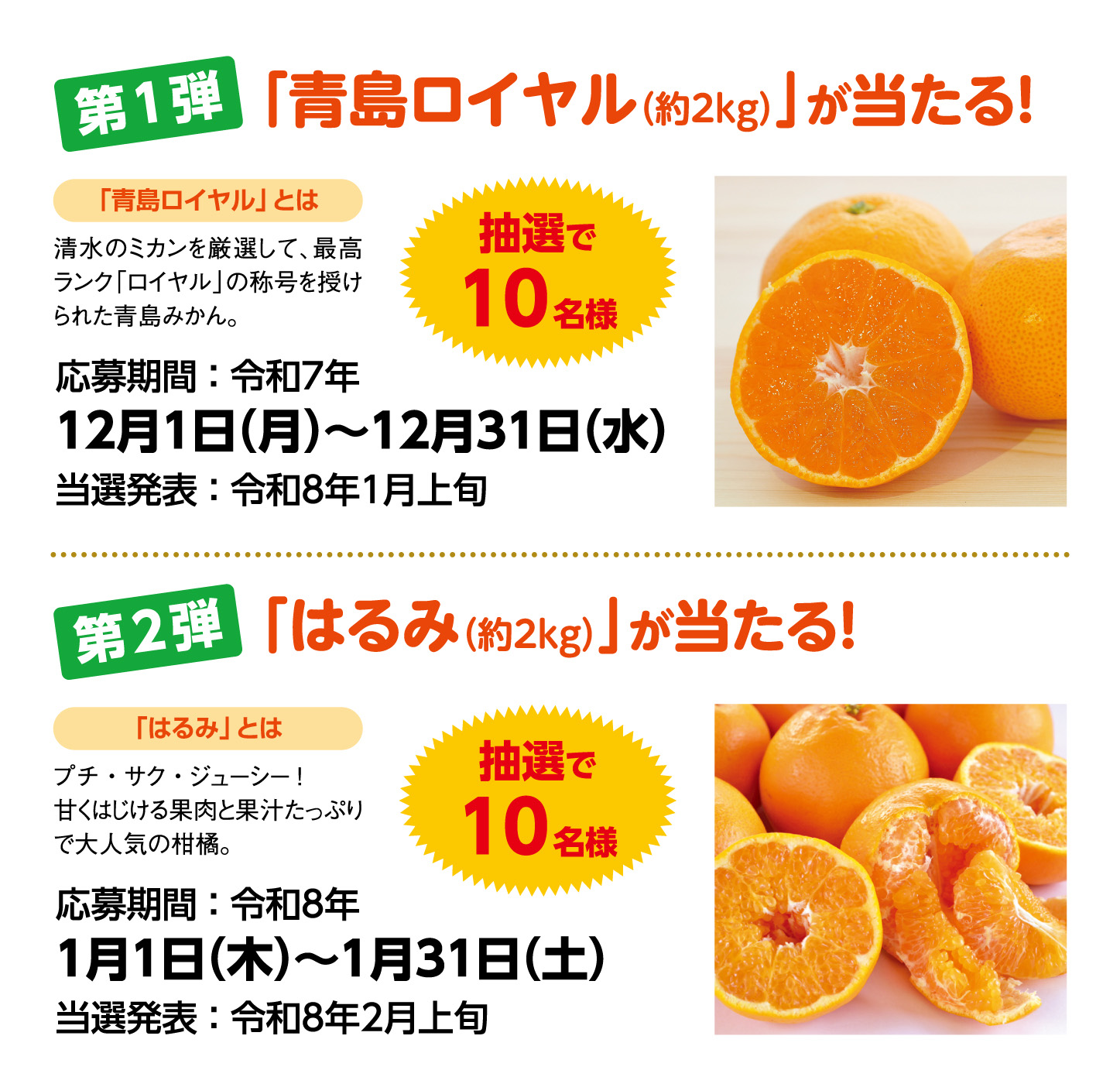 清水の柑橘が当たる!