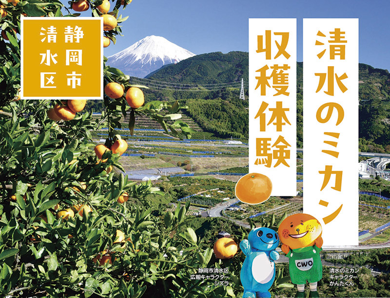 ミカンオーナー大募集